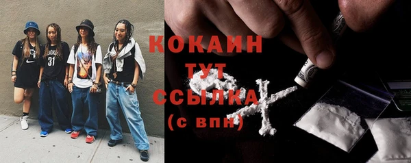 шишки Баксан