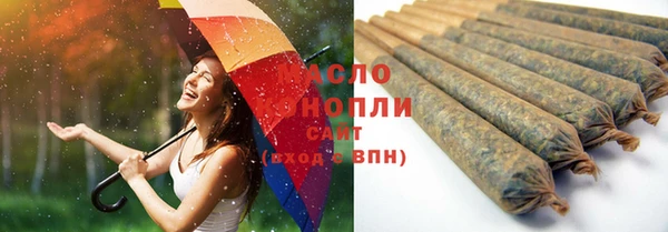 шишки Баксан