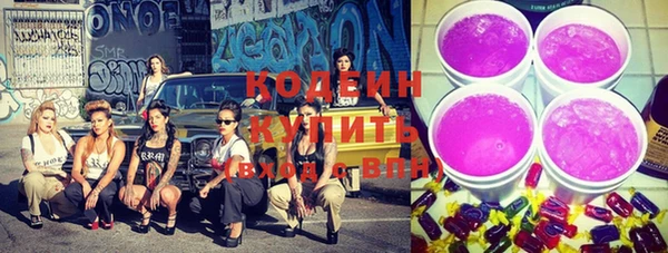 шишки Баксан