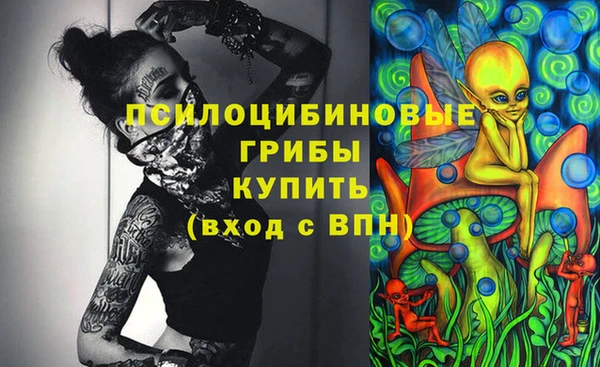 бошки Рославль